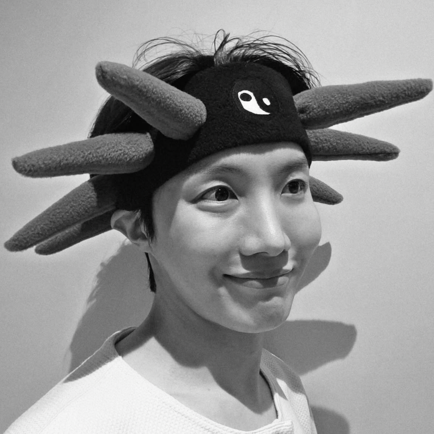 Hobi Liberty Vinyl Waterproof Sticker