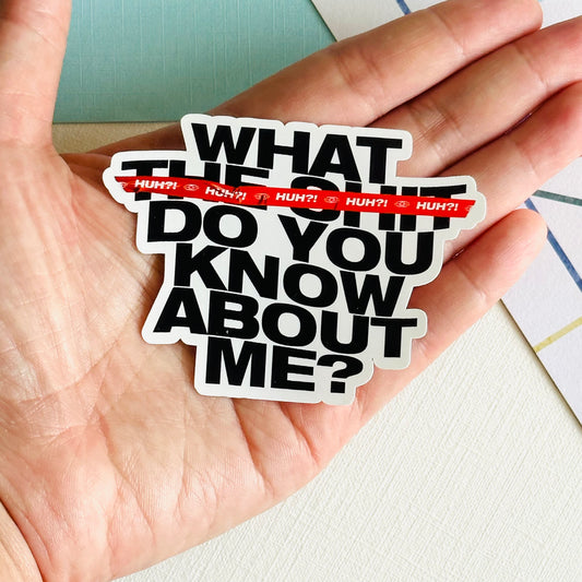 Huh?! DDAY Vinyl Waterpoof Sticker